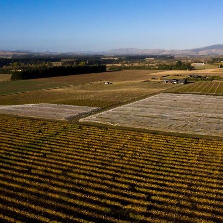 Romantic Vineyard Getaway Waipara Luaran gambar