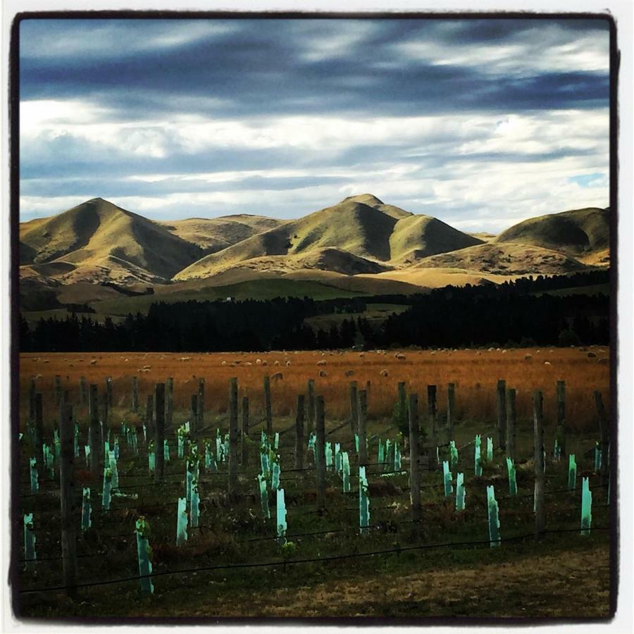 Romantic Vineyard Getaway Waipara Luaran gambar