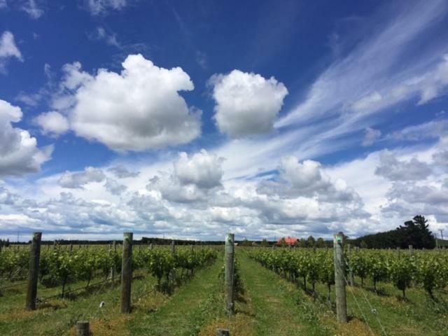 Romantic Vineyard Getaway Waipara Luaran gambar