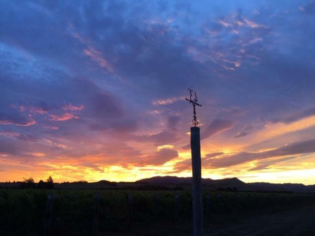 Romantic Vineyard Getaway Waipara Luaran gambar