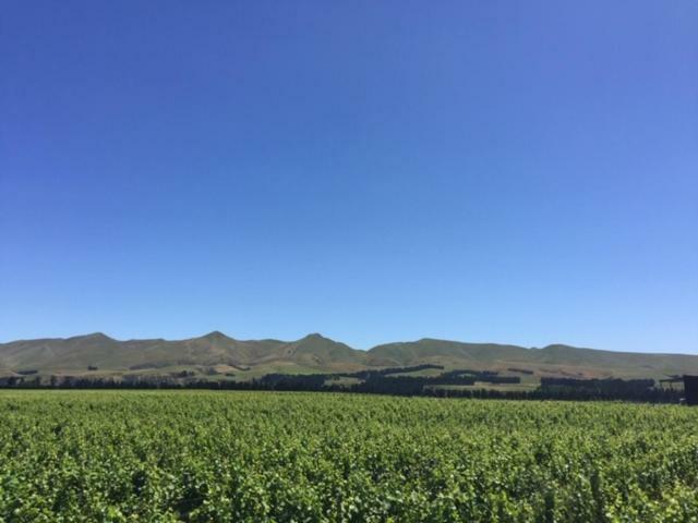 Romantic Vineyard Getaway Waipara Luaran gambar