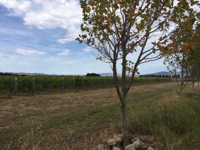 Romantic Vineyard Getaway Waipara Luaran gambar